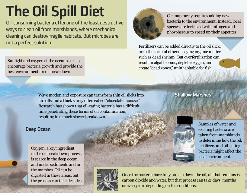 Bacteria Consumes 200,000 tons of Oil&nbsp;Spill