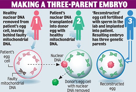 Donated DNA: Kids May Have 3 Parents in the Near&nbsp;Future