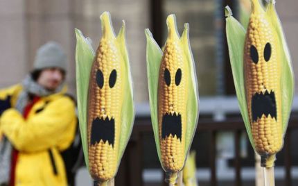 http://www.forbes.com/sites/jonentine/2012/09/20/scientists-savage-study-purportedly-showing-health-dangers-of-monsantos-genetically-modified-corn/