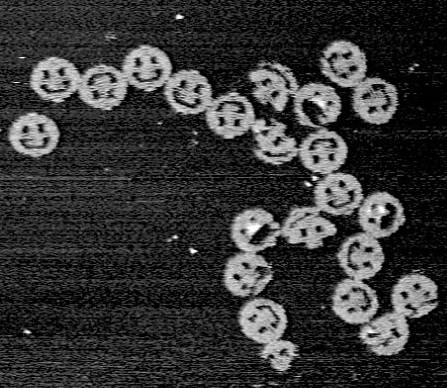 DNA Origami: The Art of Folding&nbsp;DNA