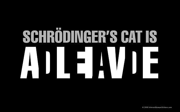 Schrodinger quantum state