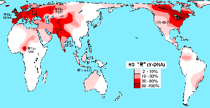 Haplogroup_R_(Y-DNA)