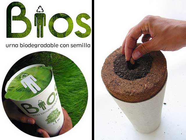 Bios Urn Will Turn You Into a Tree After&nbsp;Death