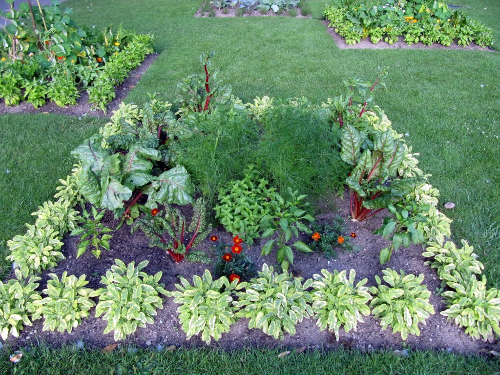 Eat Your Yard: Grow an Edible Landscape at&nbsp;Home