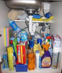 under-kitchen-sink-cabinet-organization-hall-of-fame-21605295