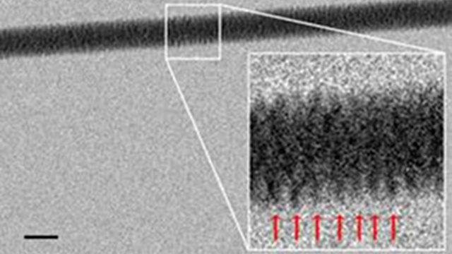 First Time Photo Captures Double Helix Structure of&nbsp;DNA