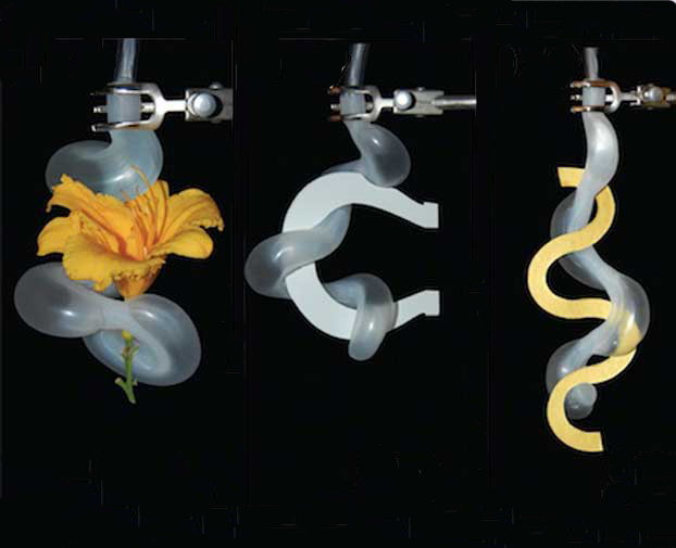 Soft Robots Grip Things&nbsp;Gently