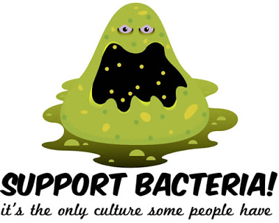 The Secret World of&nbsp;Bacteria