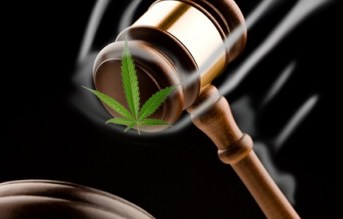 legal laws cannabis 