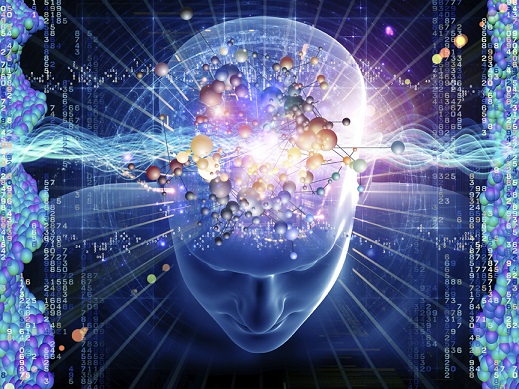 Waking Up: New State of Consciousness&nbsp;Proposed
