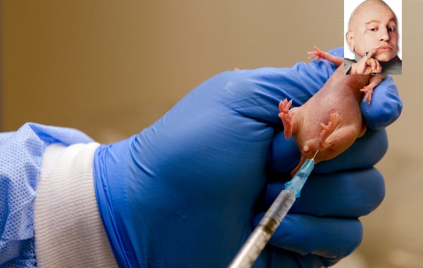 It’s a Mini-Me: Mice Clones Provide Personalized Cancer&nbsp;Treatment