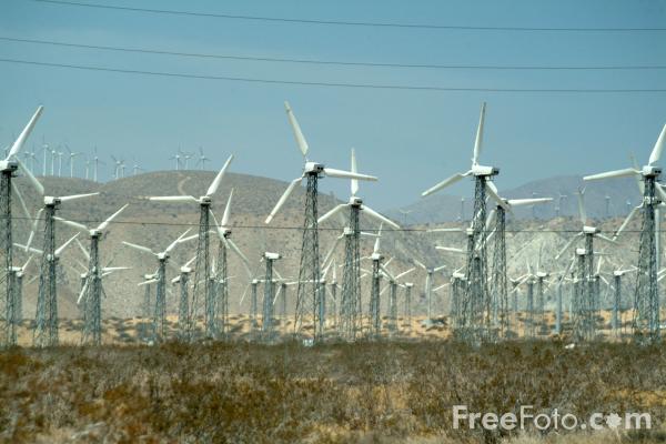 The Power of Wind&nbsp;Farms