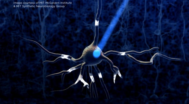 optogenetics