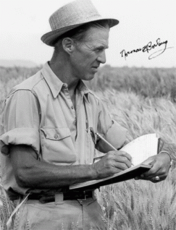 http://www.agbioworld.org/biotech-info/topics/borlaug/
