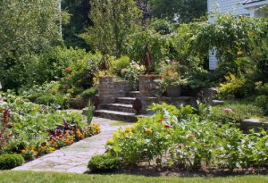 An Edible Landscape