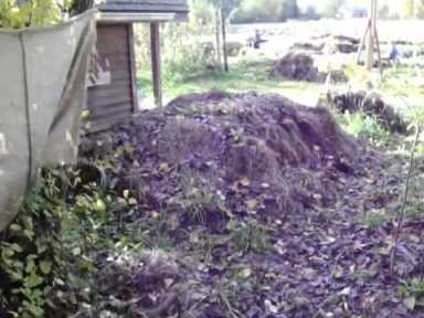 water heat compost