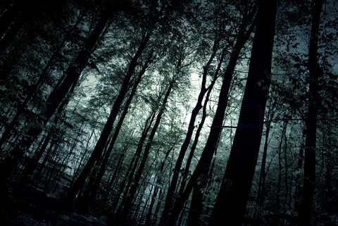 Unsweet Dreams: Nightmares and&nbsp;Health