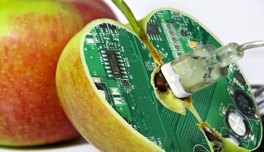 I Believe in&nbsp;GMOs