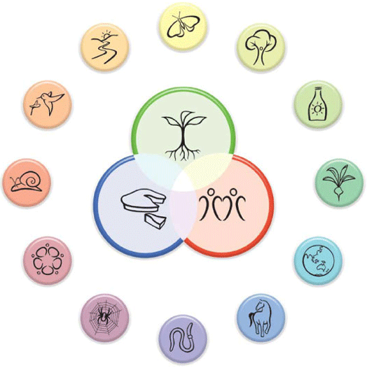 Make a Permaculture&nbsp;Connection